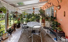 Ferienwohnung im Burgenland